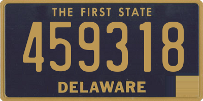 DE license plate 459318