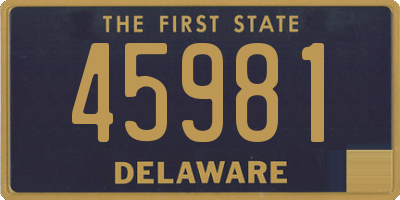 DE license plate 45981