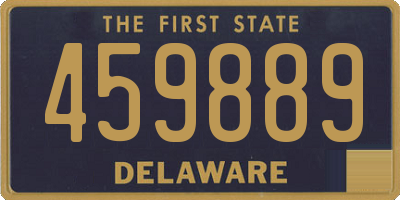 DE license plate 459889