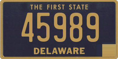 DE license plate 45989