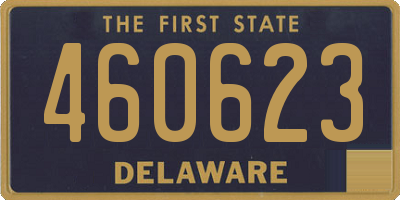 DE license plate 460623