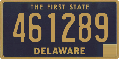 DE license plate 461289