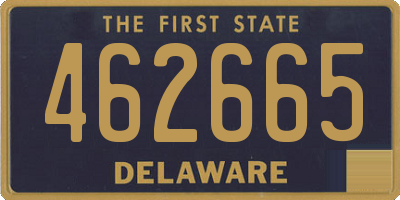 DE license plate 462665