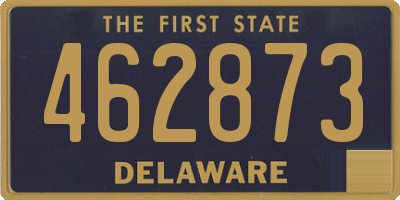 DE license plate 462873