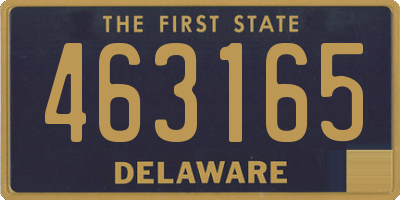 DE license plate 463165