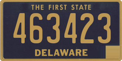 DE license plate 463423
