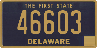 DE license plate 46603