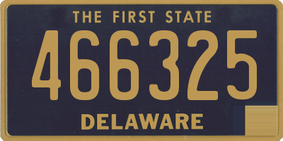 DE license plate 466325