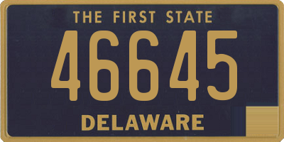 DE license plate 46645