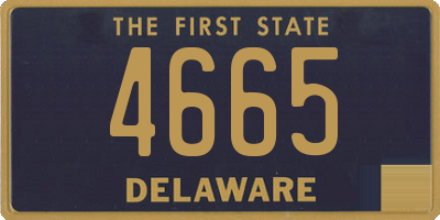 DE license plate 4665