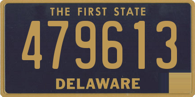 DE license plate 479613