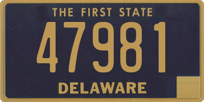 DE license plate 47981