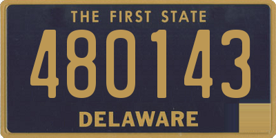 DE license plate 480143