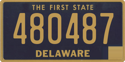 DE license plate 480487