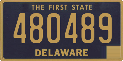 DE license plate 480489