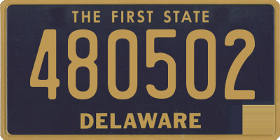 DE license plate 480502