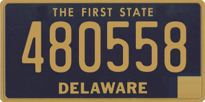 DE license plate 480558