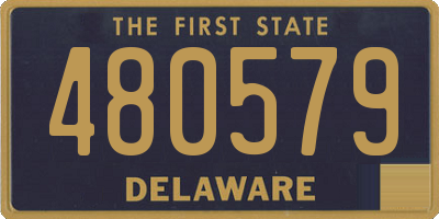 DE license plate 480579