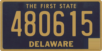 DE license plate 480615