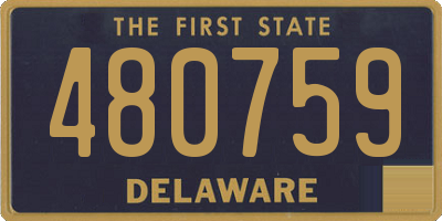 DE license plate 480759