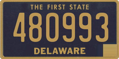 DE license plate 480993