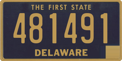 DE license plate 481491