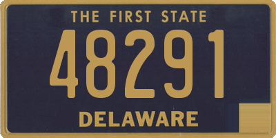DE license plate 48291