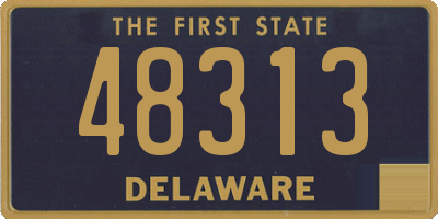 DE license plate 48313