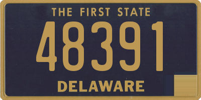 DE license plate 48391