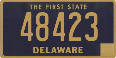 DE license plate 48423