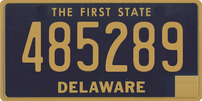 DE license plate 485289