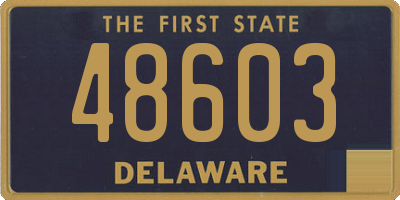 DE license plate 48603