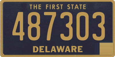DE license plate 487303