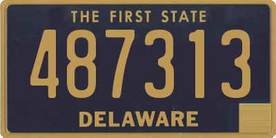 DE license plate 487313