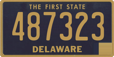 DE license plate 487323