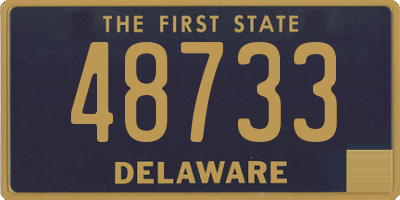 DE license plate 48733