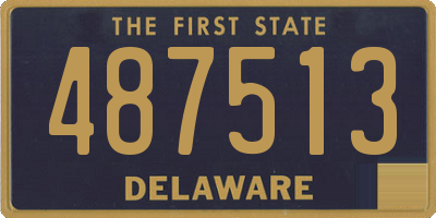DE license plate 487513