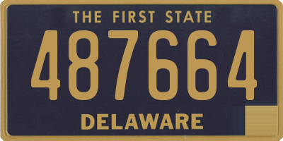 DE license plate 487664