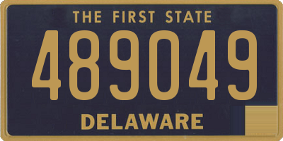 DE license plate 489049