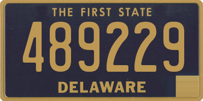 DE license plate 489229