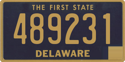 DE license plate 489231