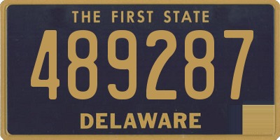 DE license plate 489287