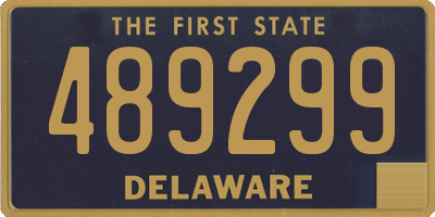 DE license plate 489299