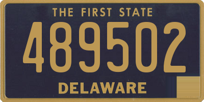 DE license plate 489502