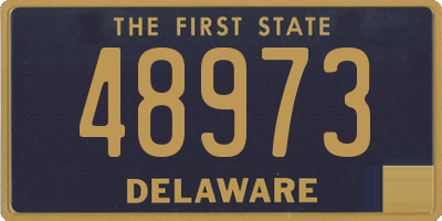 DE license plate 48973