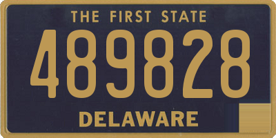 DE license plate 489828