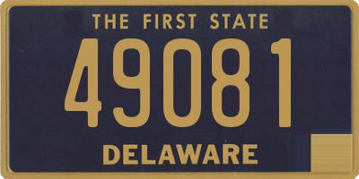 DE license plate 49081