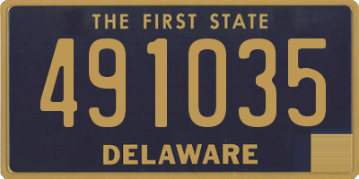 DE license plate 491035