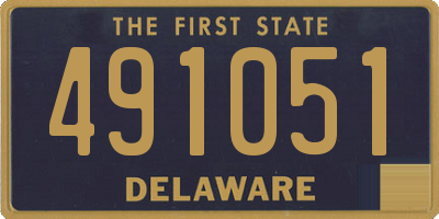 DE license plate 491051
