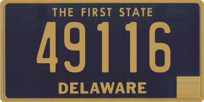 DE license plate 49116